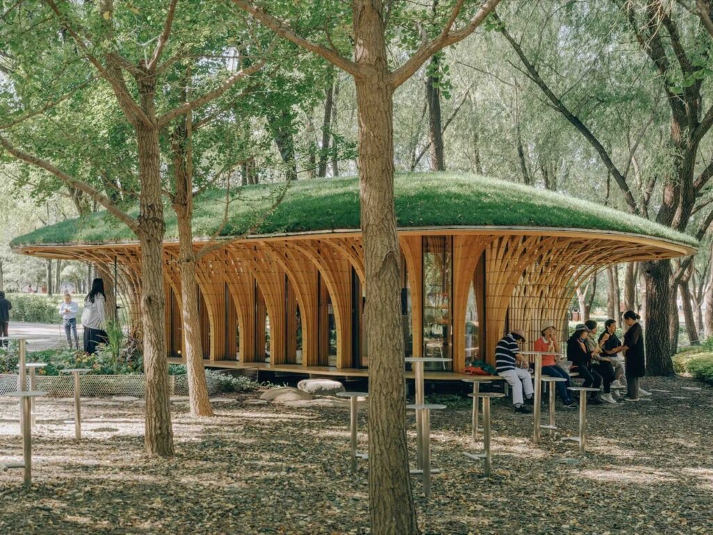 Side elevation of the curved wood slat canopy with visitors seated at high tables under the shade of trees.