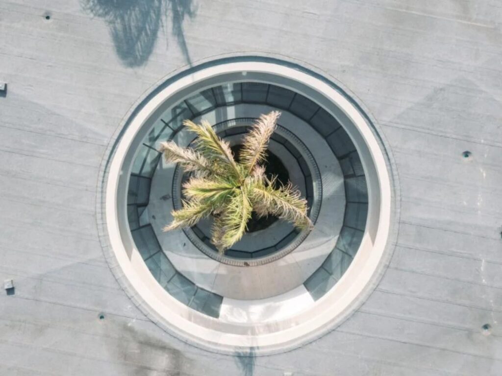 Top-down aerial view of a circular courtyard centered around a palm tree inside Luanda Library.