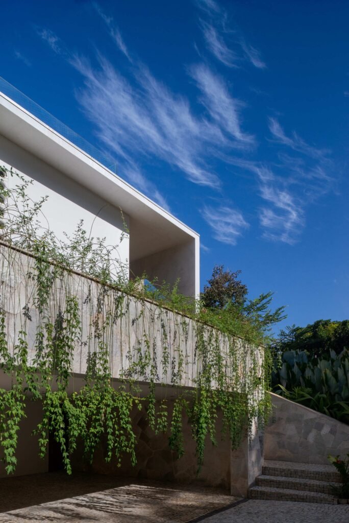 Green vines hanging over a stone-clad wall and lower-level garage with stone steps at Casa Noor.