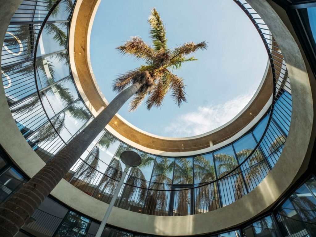 Low-angle shot looking up a tall palm tree inside a circular glass courtyard toward the open sky.