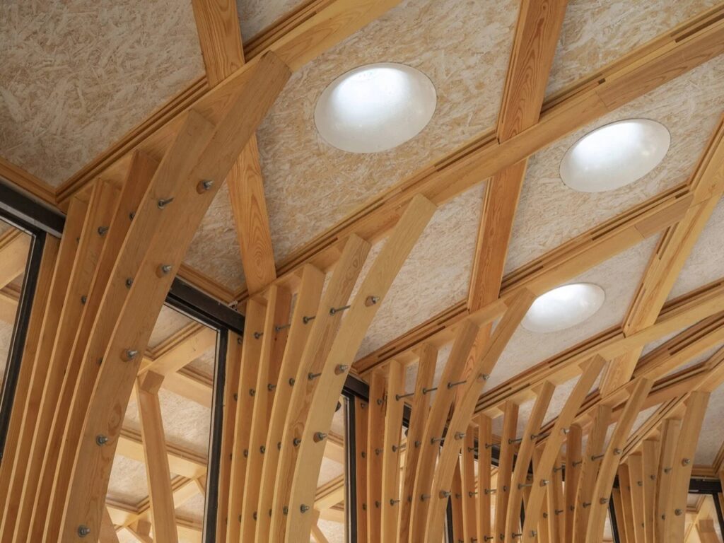 Low-angle interior detail of the woven timber roof framework with integrated round ceiling skylights.