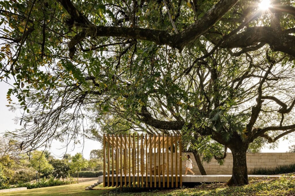 Wooden slatted pavilion beneath large mature tree canopy in the garden of Casa do Bosque.
