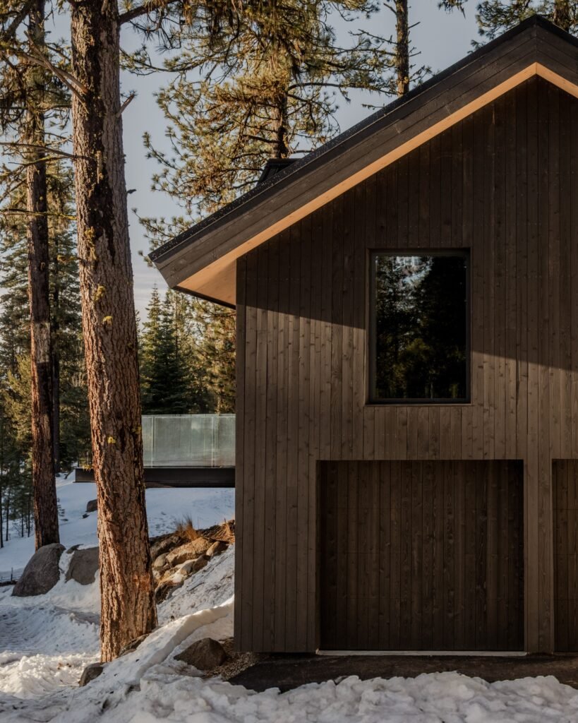 Close-up of dark vertical wood siding on a gabled cabin facade next to large pine trees in snow.