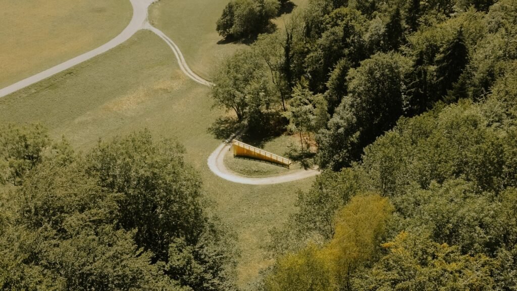 High-angle aerial drone view of a narrow triangular wooden pavilion positioned at the edge of a dense green forest and pathway.