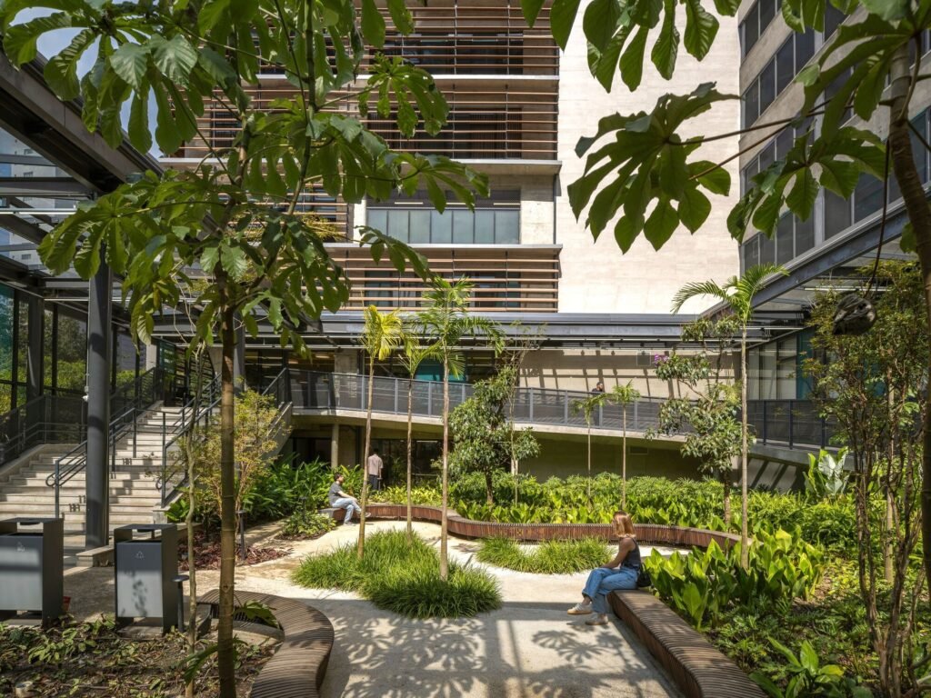 Outdoor courtyard with lush green landscaping, sinuous wooden seating, and a concrete access ramp inside Colégio Bernoulli.