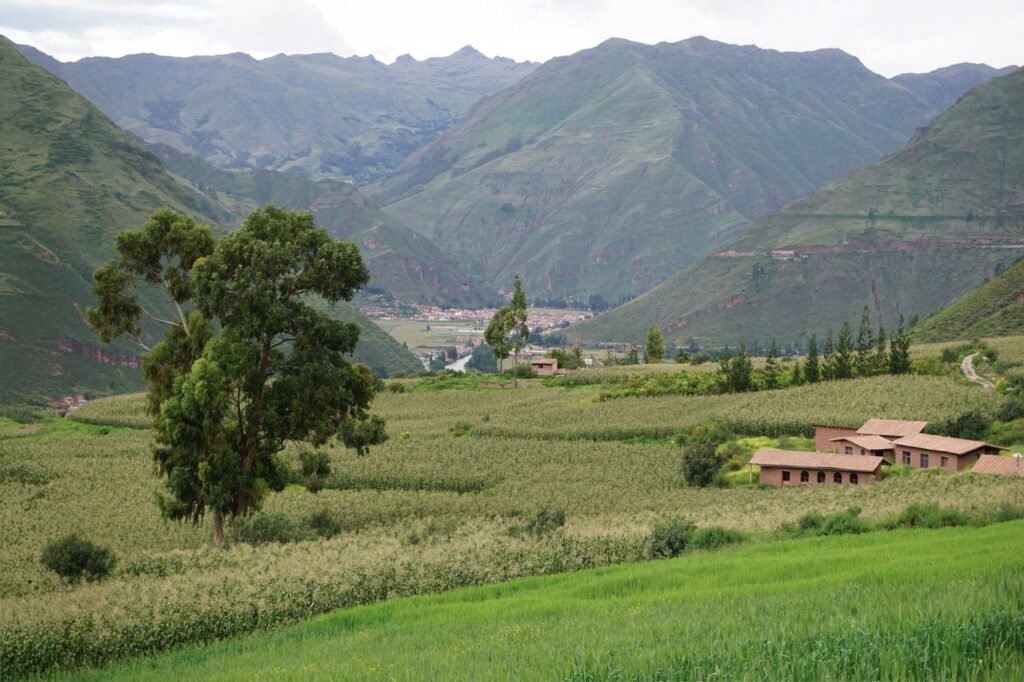 Distant view of Kusca residence nestled among green fields and eucalyptus trees with mountain valley view in the background.