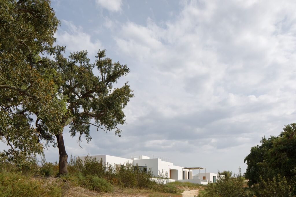 Distant view of Melides MG House embedded into the hillside terrain under a mature cork oak tree.