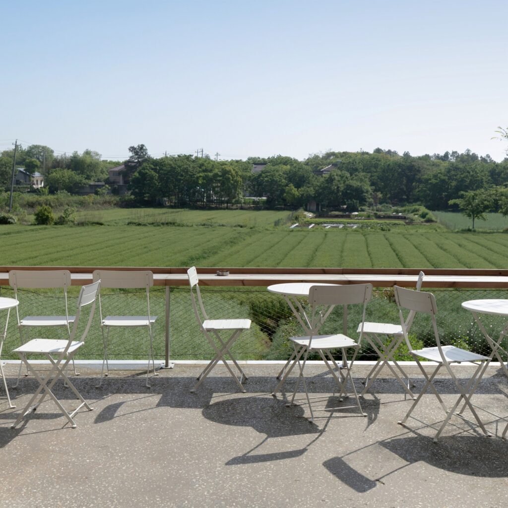 Outdoor dining terrace with white cafe chairs overlooking expansive green agricultural fields at Spitfire Roastery.
