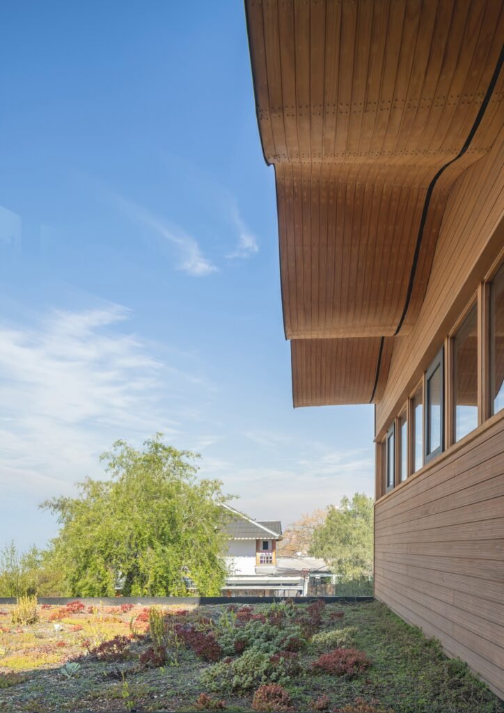 Exterior view of the undulating timber roof overhang above a green roof system on the upper deck.