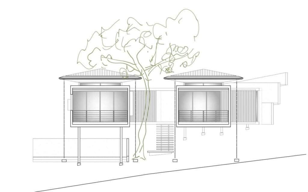 Architectural front elevation drawing showing two elevated volumes framing a large central tree on a sloped site.