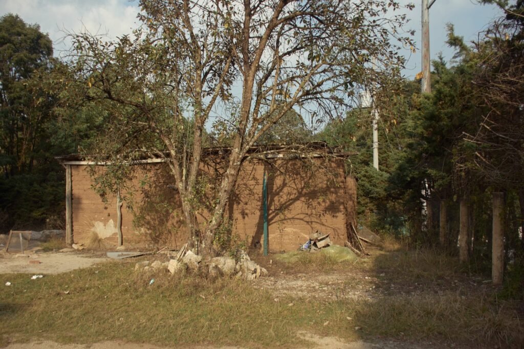 Pre-intervention exterior photo showing the dilapidated original adobe silo structure surrounded by trees prior to renovation.