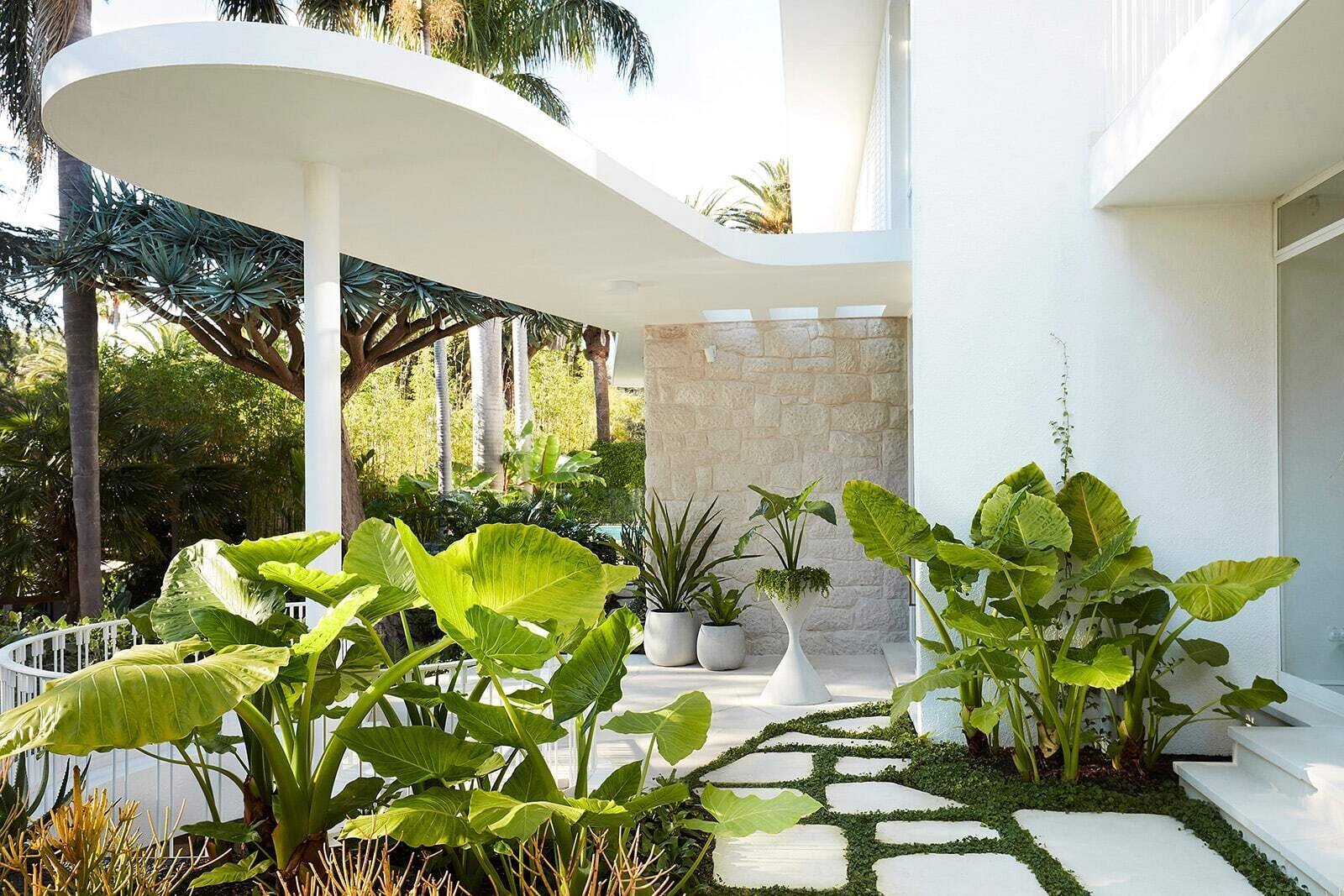 Garden surrounding the renovated Sydney house