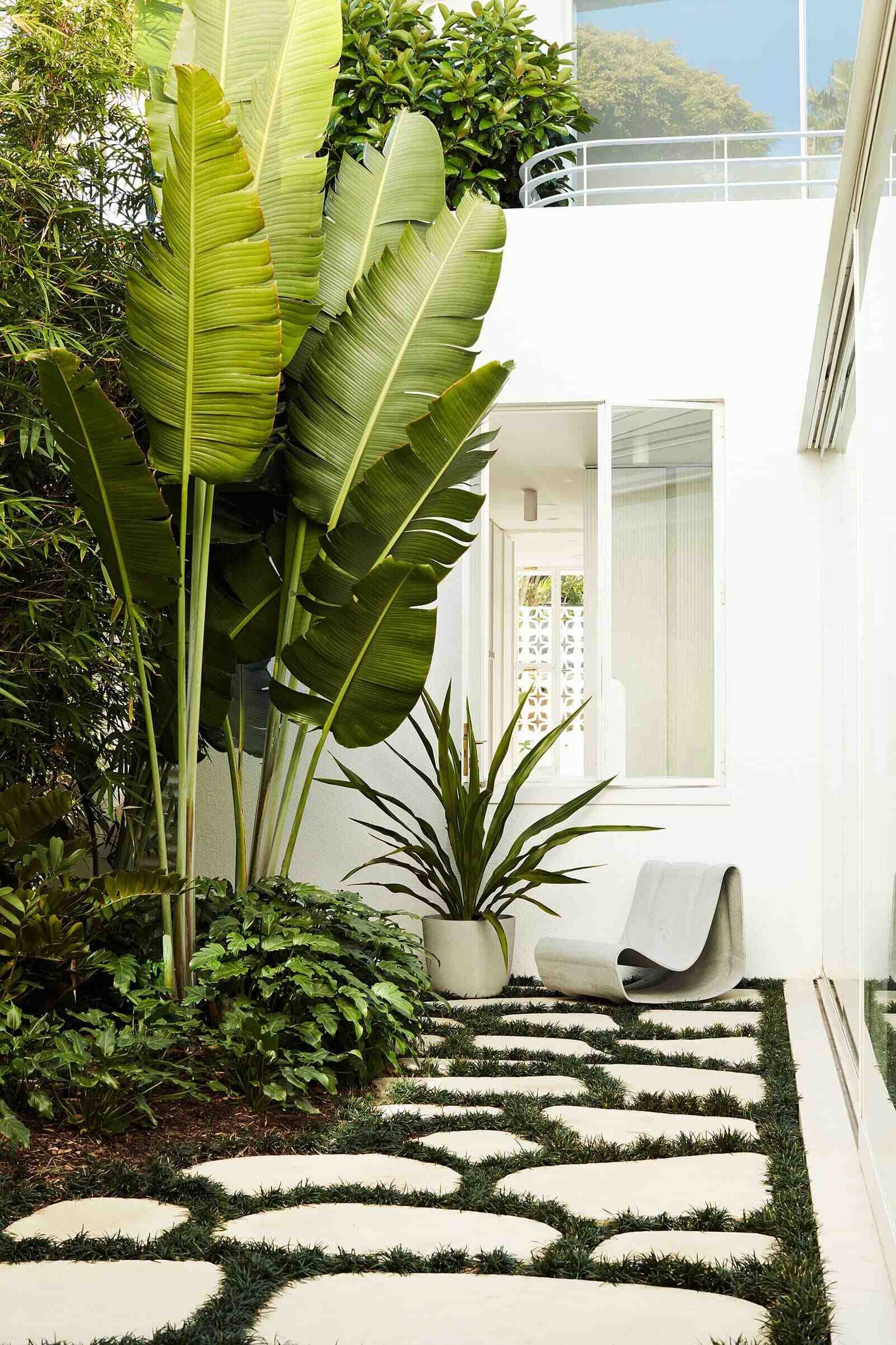 Garden visible from the renovated communal rooms