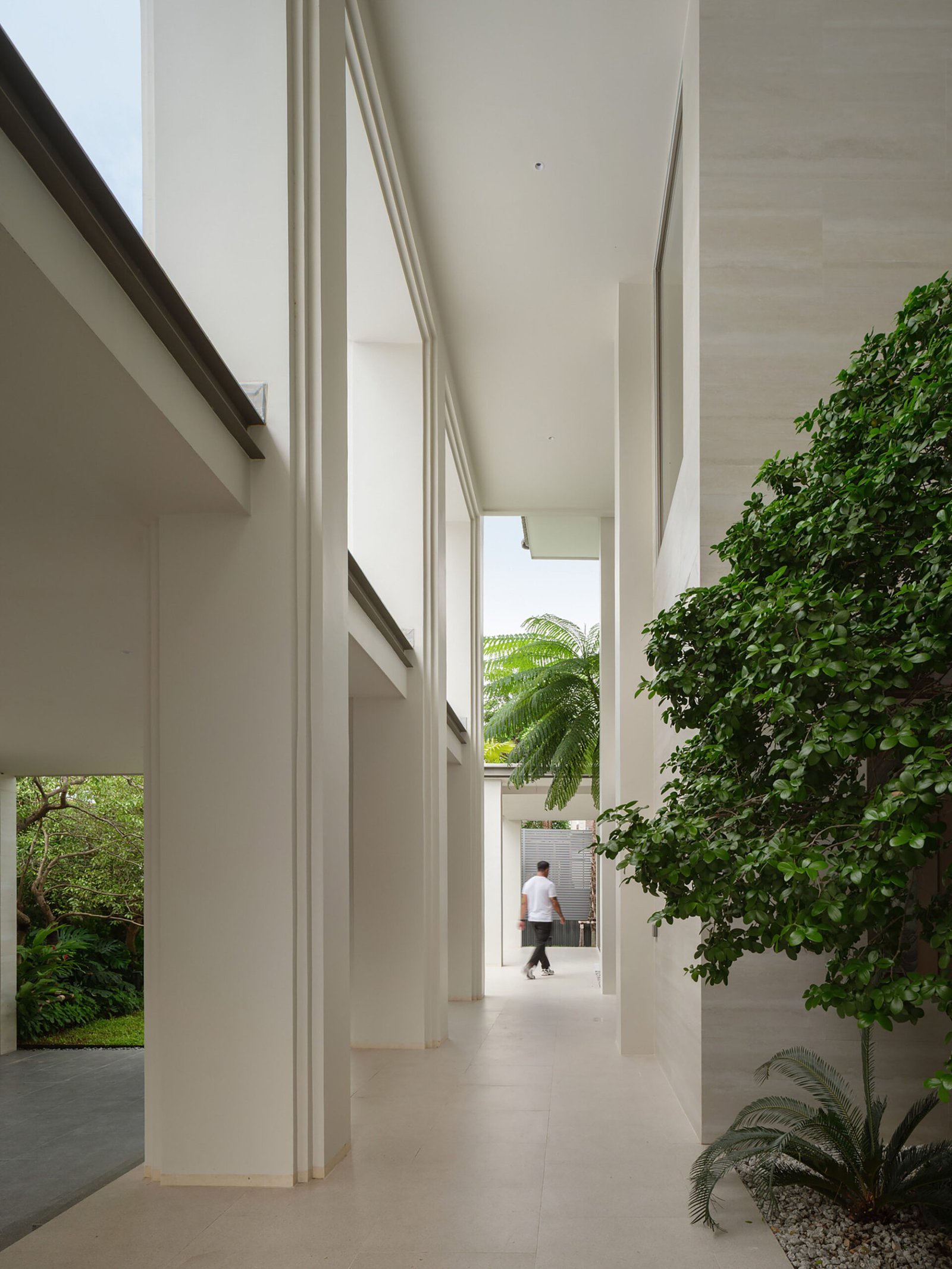 Concrete gallery and courtyard planting between old and new spaces