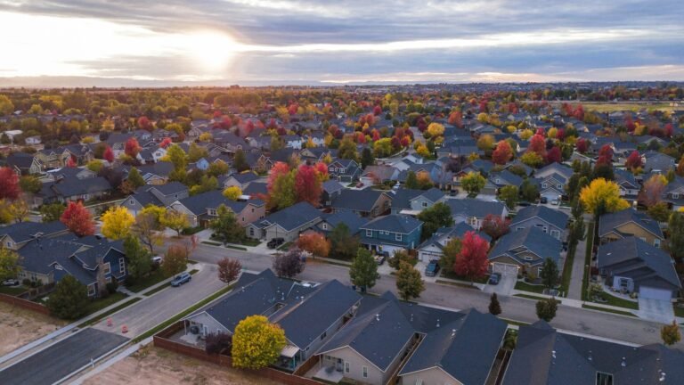 Aerial view of detached houses, gardens and curving residential streets.