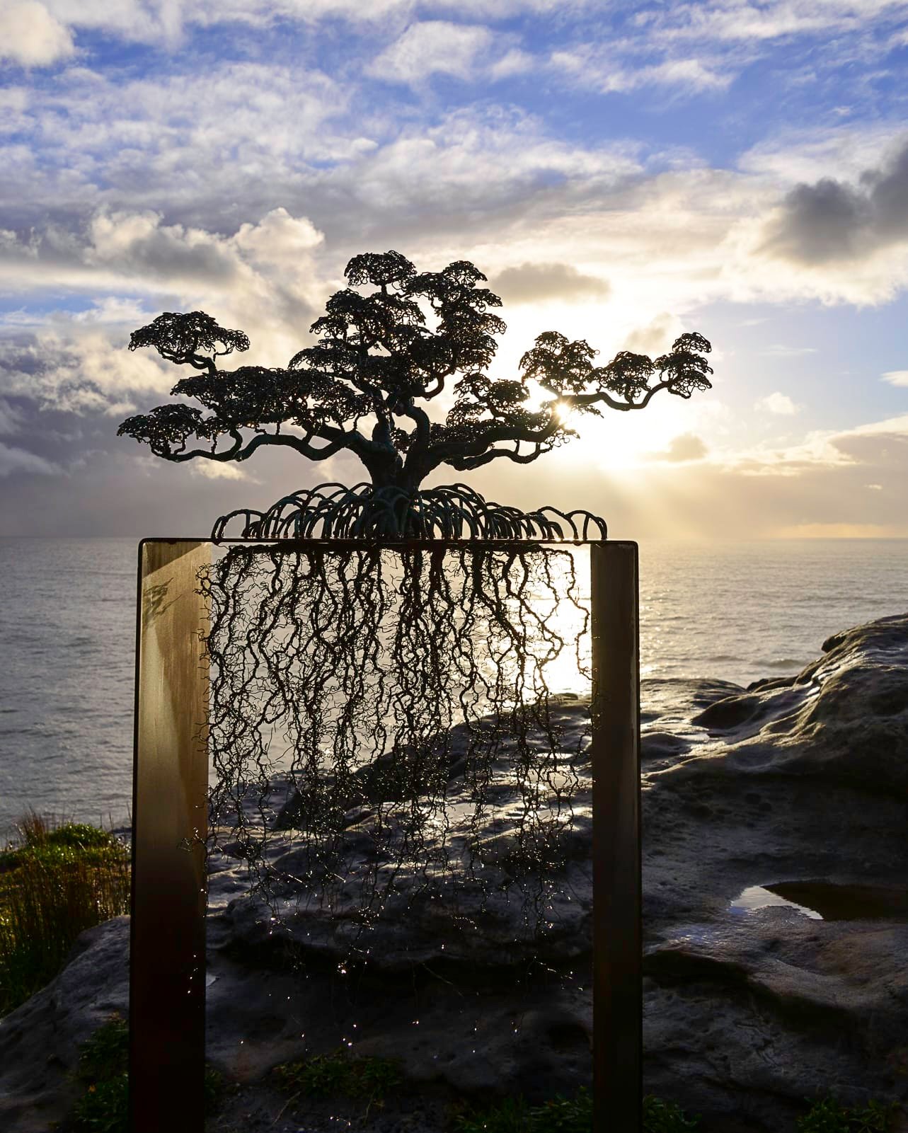 The Guardians places a table-scaled bonsai form within the exposed coastal landscape.