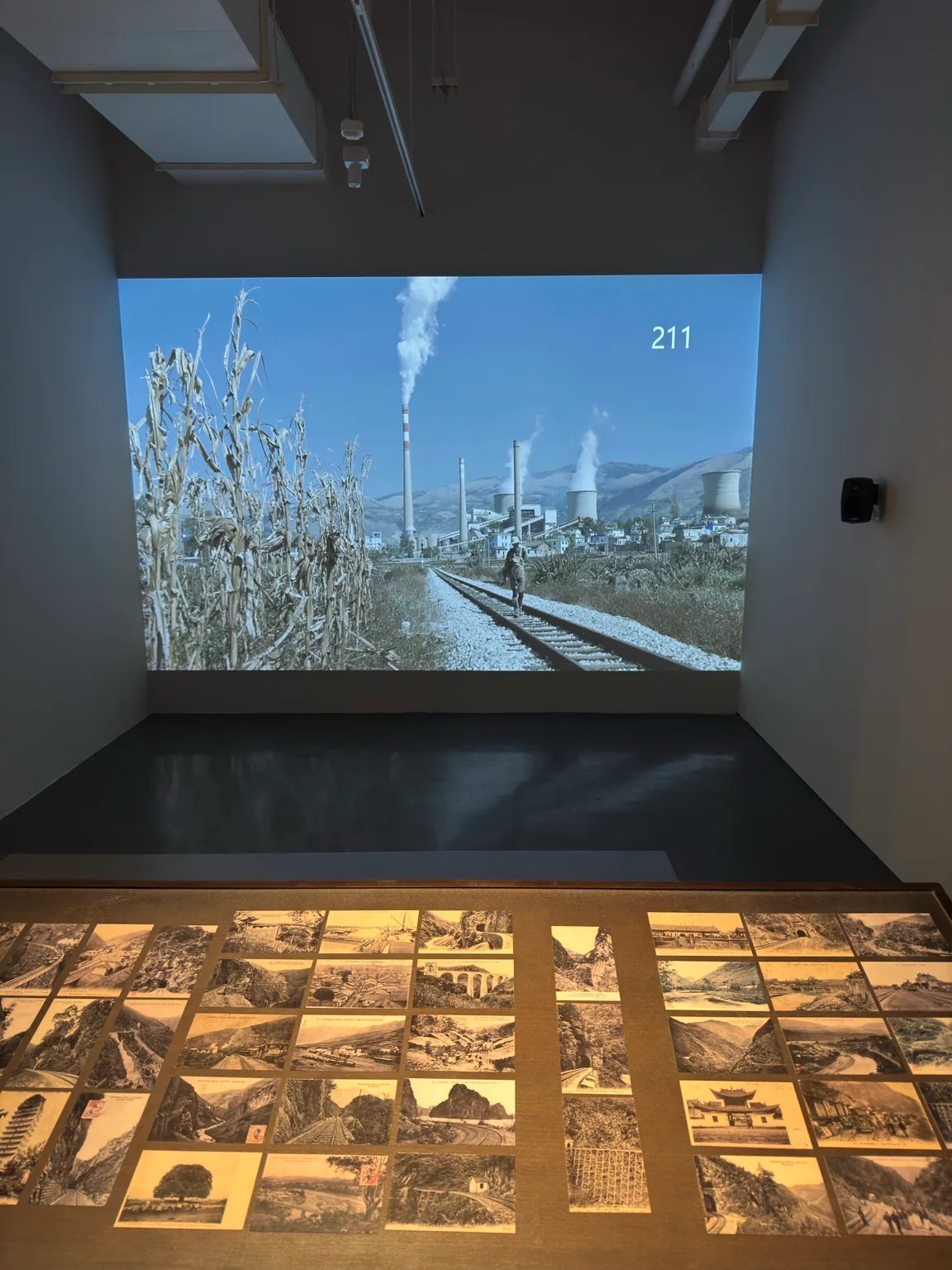A landscape projection on a gallery wall above a lit case containing photographs and documents at Hayy Jameel.