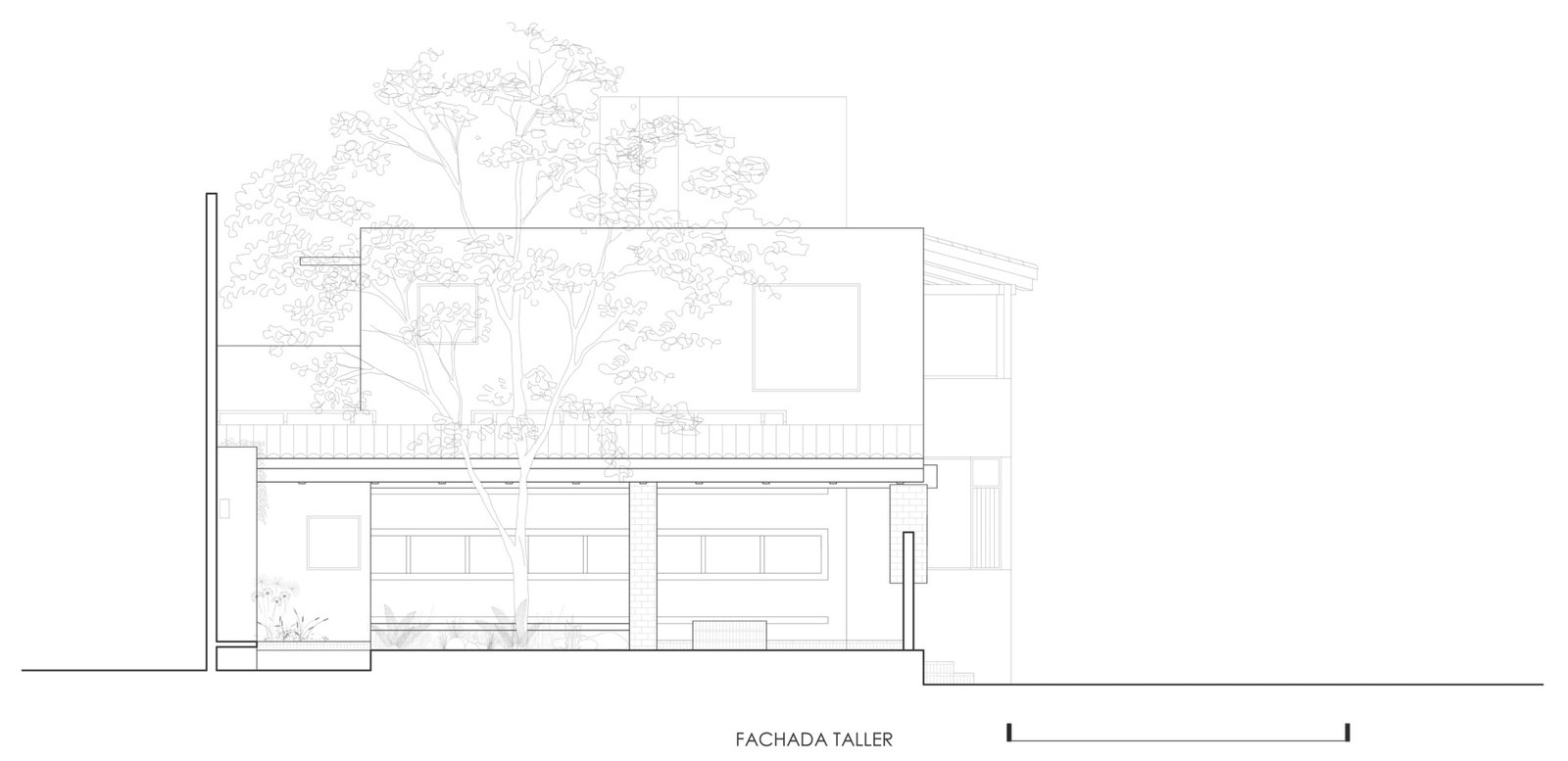 The workshop-side elevation records the relationship between building volumes, roofs and the tree.