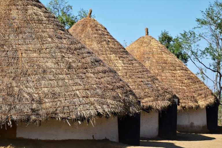 Three round huts with conical thatched roofs and pale walls beneath a clear blue sky.